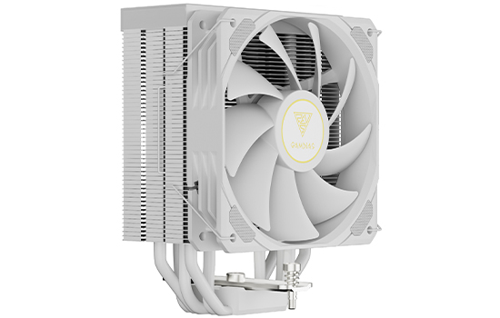 Z590